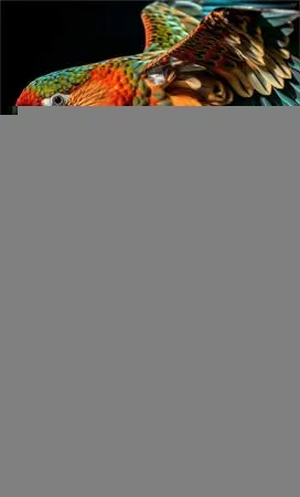 Бесплатная колеровка для покупателей колор-студии Dulux «Центр Дизайна Family Room»